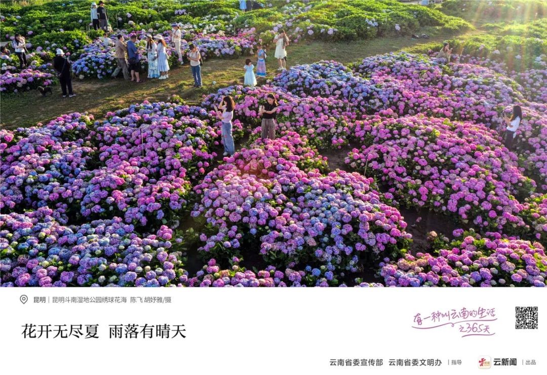 &#20061;&#24030;&#32593;&#95;&#20061;&#24030;&#65288;&#20013;&#22269;&#65289;